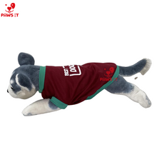 Load image into Gallery viewer, The Best Dog in the Galaxy Maroon Shirt