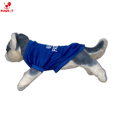 Load image into Gallery viewer, Bestfriend Blue Shirt