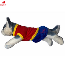 Load image into Gallery viewer, Wonderwoman Dress