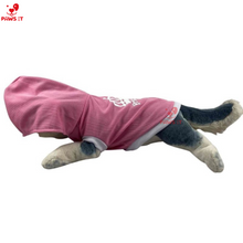 Load image into Gallery viewer, Princess Pink Hoodie