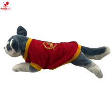 Load image into Gallery viewer, Flash Shirt