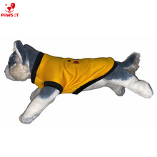 Load image into Gallery viewer, Pikachu Yellow