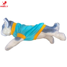 Load image into Gallery viewer, Prince Aqua Blue