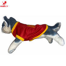 Load image into Gallery viewer, Best Friend Sando