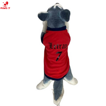 Load image into Gallery viewer, NCAA Jersey Letran Benilde San Beda Lyceum