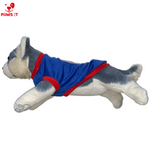 Load image into Gallery viewer, Captain America