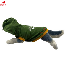 Load image into Gallery viewer, Wild Child Army Green Hoodie