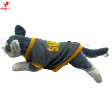 Load image into Gallery viewer, Team Sawi Gray Shirt