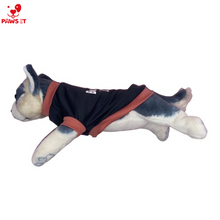 Load image into Gallery viewer, Barking Diva Gray Lining Pink