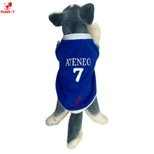 Load image into Gallery viewer, Ateneo Jersey Shirt