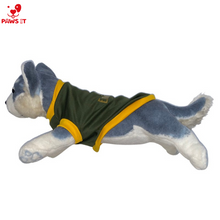 Load image into Gallery viewer, Pet Emirates Army Green