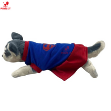 Load image into Gallery viewer, Superwoman Dress