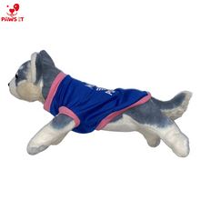 Load image into Gallery viewer, Mini Pooper Blue