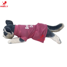 Load image into Gallery viewer, Barking Diva Dress Pink