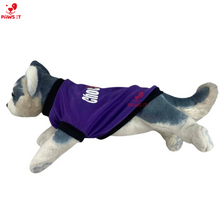 Load image into Gallery viewer, PVL Creamline ChocoMucho F2 PetroGazz Cherry Tiggo Cignal Jersey Shirt