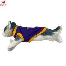 Load image into Gallery viewer, Lakers 23 Violet Yellow Jersey