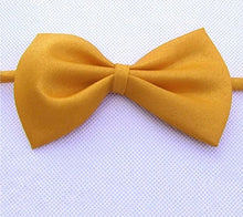 Load image into Gallery viewer, Pet Bow Tie