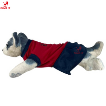 Load image into Gallery viewer, NCAA Jersey Dress Letran Benilde San Beda Lyceum