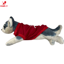 Load image into Gallery viewer, Paws It Jordan Shirt