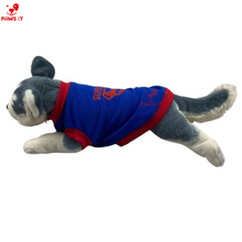 Load image into Gallery viewer, Superman Shirt