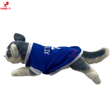 Load image into Gallery viewer, Ateneo Jersey Shirt