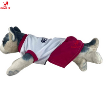 Load image into Gallery viewer, PVL Creamline ChocoMucho F2 PetroGazz Cherry Tiggo Cignal Jersey Dress