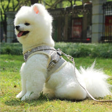 Load image into Gallery viewer, Dog Harness with Leash Vest