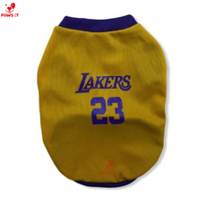 Load image into Gallery viewer, Lakers 23 Violet Yellow Jersey