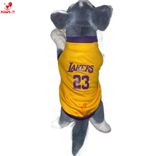 Load image into Gallery viewer, Lakers 23 Violet Yellow Jersey