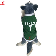 Load image into Gallery viewer, NCAA Jersey Letran Benilde San Beda Lyceum