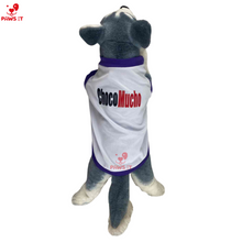 Load image into Gallery viewer, PVL Creamline ChocoMucho F2 PetroGazz Cherry Tiggo Cignal Jersey Shirt