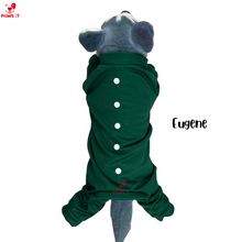 Load image into Gallery viewer, Ghost Fighter Jumpsuit