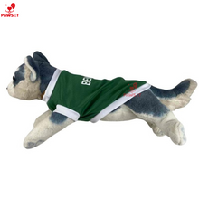 Load image into Gallery viewer, NCAA Jersey Letran Benilde San Beda Lyceum