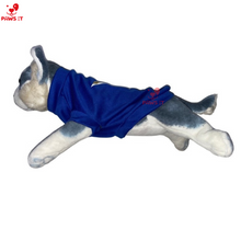 Load image into Gallery viewer, Voltes V Steve Mark Jamie Shirt