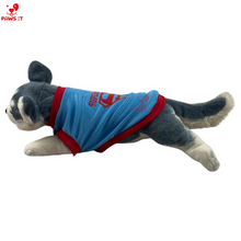 Load image into Gallery viewer, Superman Shirt