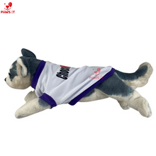 Load image into Gallery viewer, PVL Creamline ChocoMucho F2 PetroGazz Cherry Tiggo Cignal Jersey Shirt