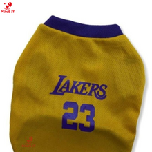 Load image into Gallery viewer, Lakers 23 Violet Yellow Jersey