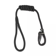 Load image into Gallery viewer, Pet Nylon Training Leash