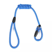 Load image into Gallery viewer, Pet Nylon Training Leash