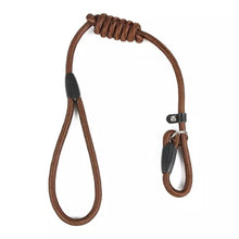 Load image into Gallery viewer, Pet Nylon Training Leash