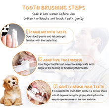 Load image into Gallery viewer, Dental Care Set Toothpaste Toothbrush