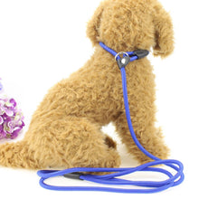 Load image into Gallery viewer, Pet Nylon Training Leash