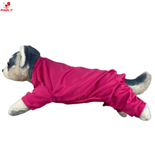 Load image into Gallery viewer, Ghost Fighter Costume Eugene Dennis Vincent Alfred Jeremiah