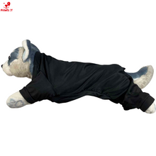 Load image into Gallery viewer, Ghost Fighter Costume Eugene Dennis Vincent Alfred Jeremiah