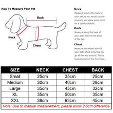 Load image into Gallery viewer, The Walking Dog / Violet & Gray