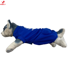 Load image into Gallery viewer, Joy Ride Pet Skirt Dress