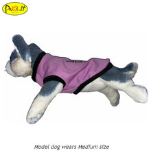 Load image into Gallery viewer, Im a Lover Sando Violet