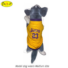 Load image into Gallery viewer, Lakers 23 Yellow Gold