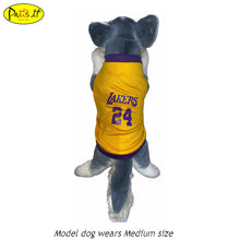 Load image into Gallery viewer, Lakers 24 Yellow Gold