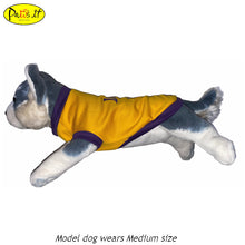 Load image into Gallery viewer, Lakers 24 Yellow Gold